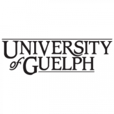 Get Accepted to University