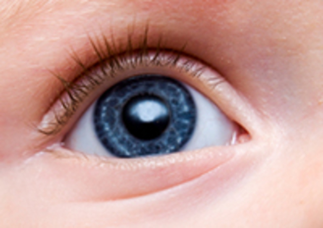 Conner Blinks in order to prevent his eyes from drying