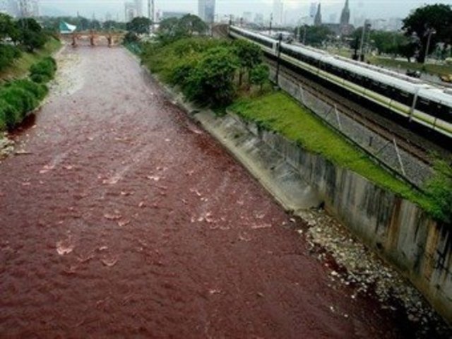 el río se tiñe de rojo
