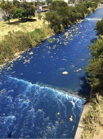 Río Medellín se tiñe de azul
