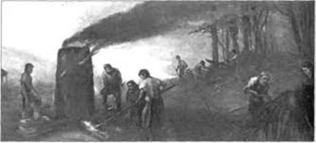 Enfermedades profesionales, Ulrich ellembog