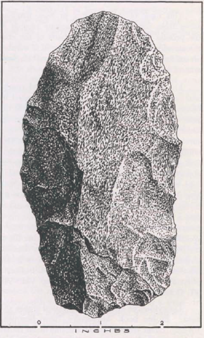 52 Blades Found in Squantum