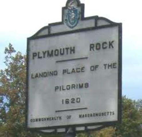 Plymouth Rock