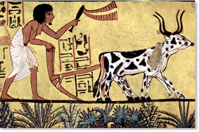 Agrarian Society (5000 BC)