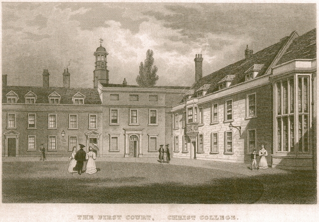 Estudios posteriores.