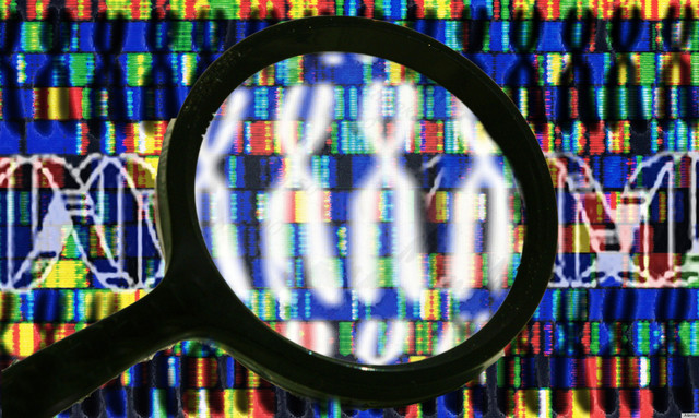 human genome project