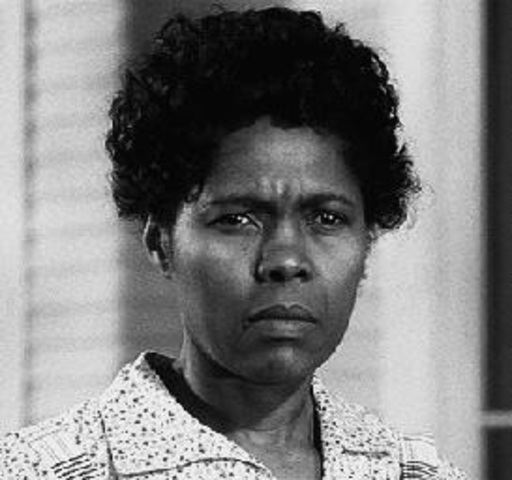 Calpurnia raises the children with Atticus