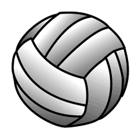 Sarted Playing Volleyball