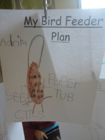 Jane's bird feeder plan