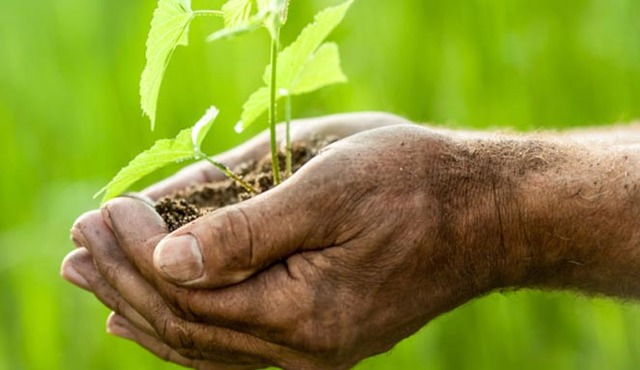 Nacimiento De La Gestion Ambiental