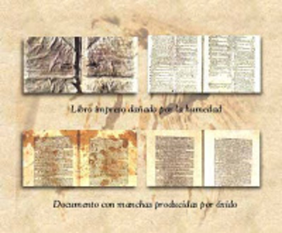 EDAD MEDIA AÑO 105 Dc