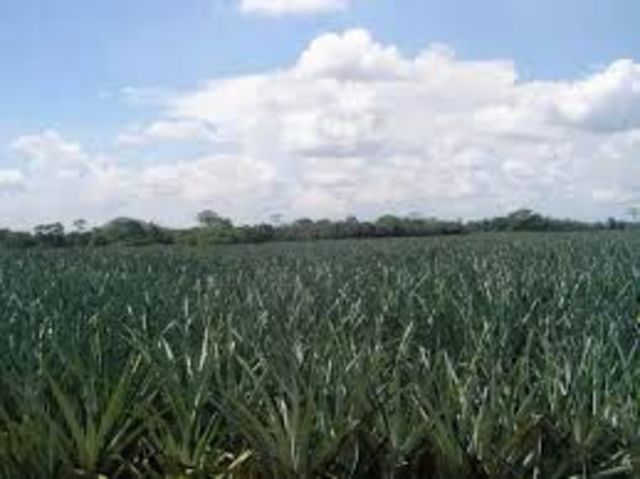 Aparato para cálculo automático