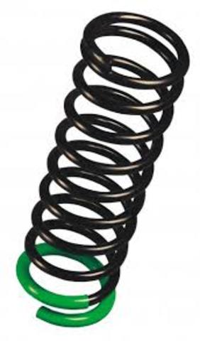 Elasticidad/Plasticidad