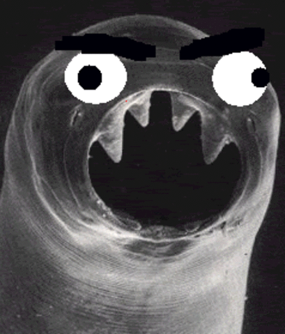 Rockefeller Health Foundation in the South