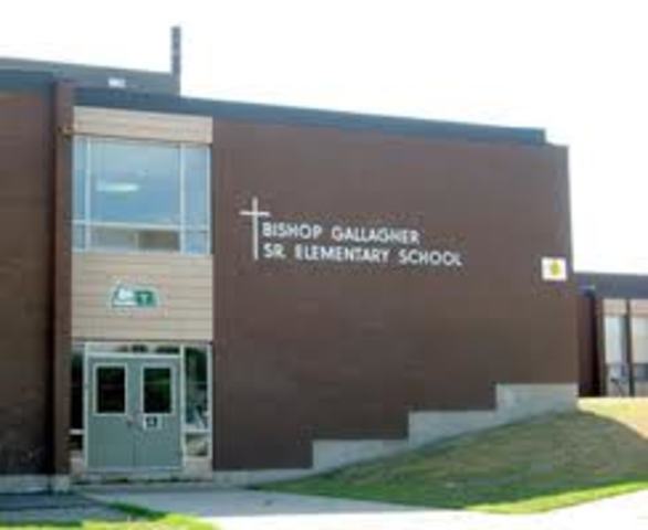 New School
