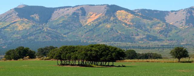 Juan Rivera crosses into present-day Monticello, Utah.