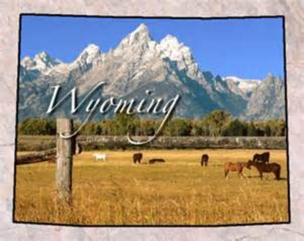 Wyoming had a lower population but the district was only allowed 3 electors