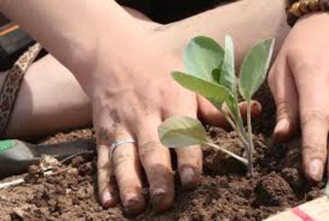 volenteer work complete