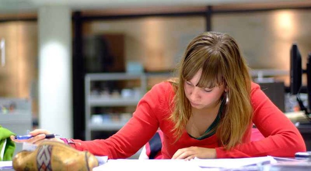 Enero-Mayo 2015/ Intelectual