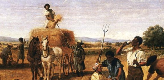 Des colonies en croissance