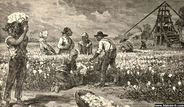 les colonies en pleine croissances