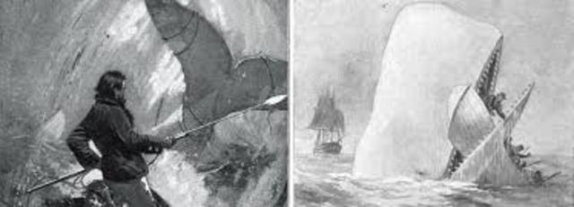 Melville Publishes Moby Dick