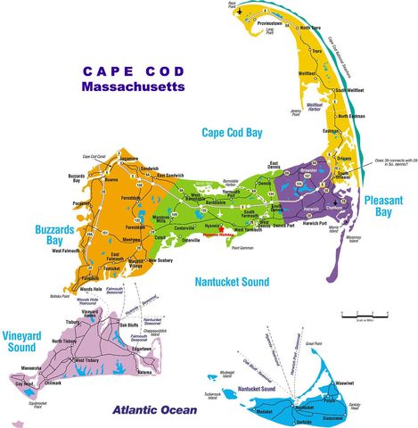 The pilgrims landed in capecod