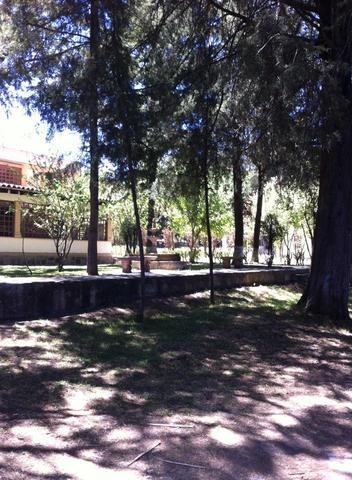 Saber que es lo que quiero estudiar