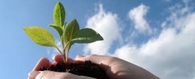 LA EVOLUCION DE LA ADMINISTRACION AMBIENTAL