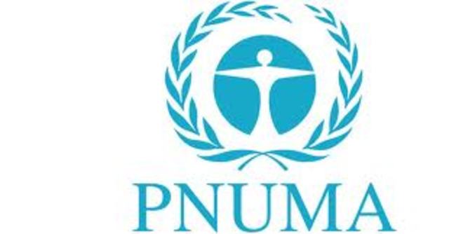 PNUMA 1976