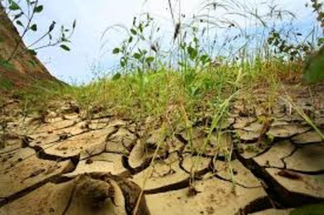 Convención de las Naciones Unidas para la Lucha contra la Desertificación