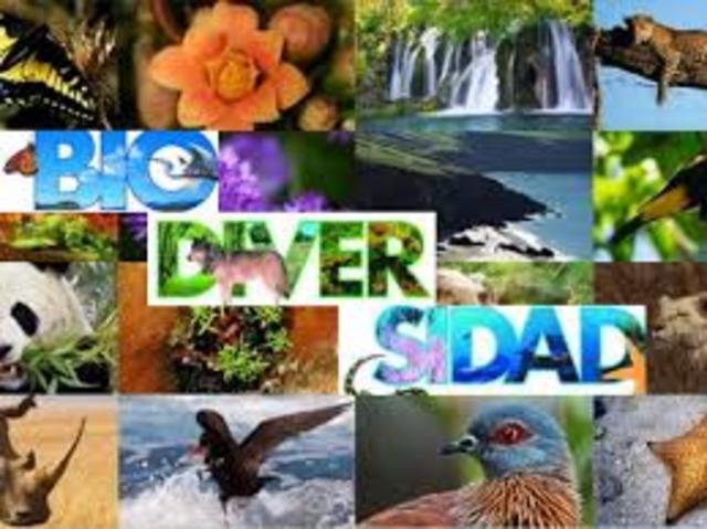 Convenio sobre la Diversidad Biológica