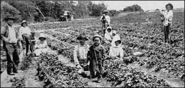 In 1913, California passed the Alien Land Law forbidding “all aliens ineligible for citizenship” from owning land. 12 other states made laws similar to this.