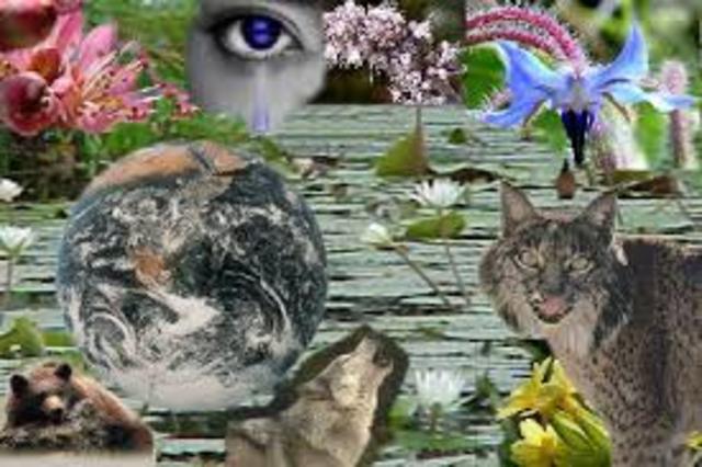 Planeacion Ambiental para la conservacion de la Biodiversidad .