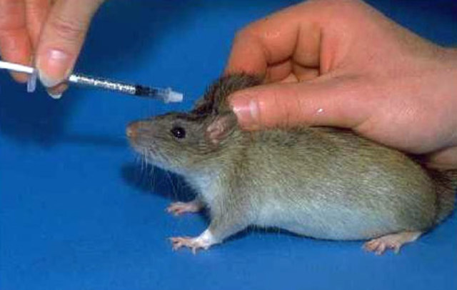 Avery-Macleod-McCarty