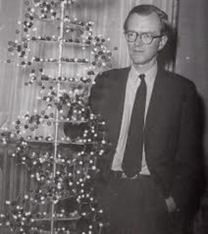 Maurice Wilkins last stage of work