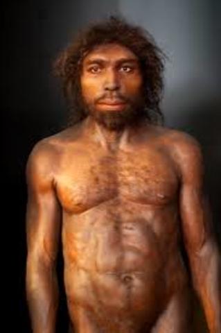Homo antecessor