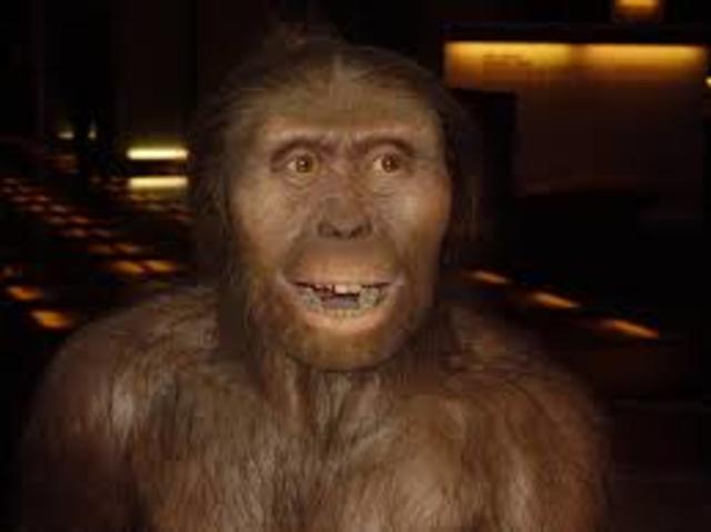 Caracteristicas del Australopithecus afarensis