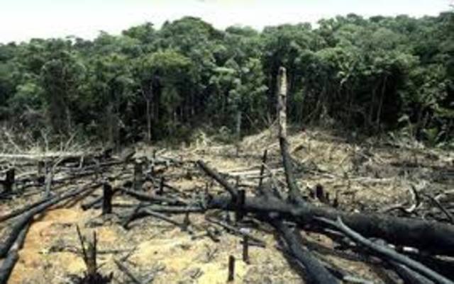 aprueba la ley del medio ambiente