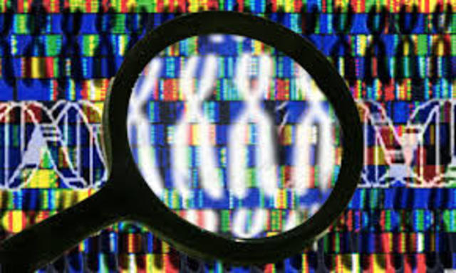 human genome project