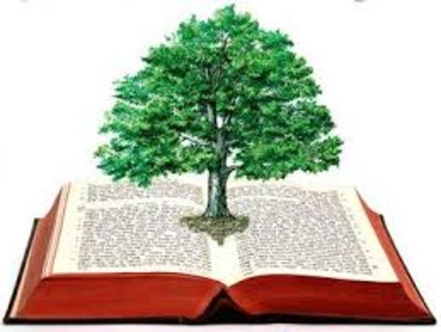 a Evaluación Ambiental Urbana Rápida con el apoyo del Banco mundial