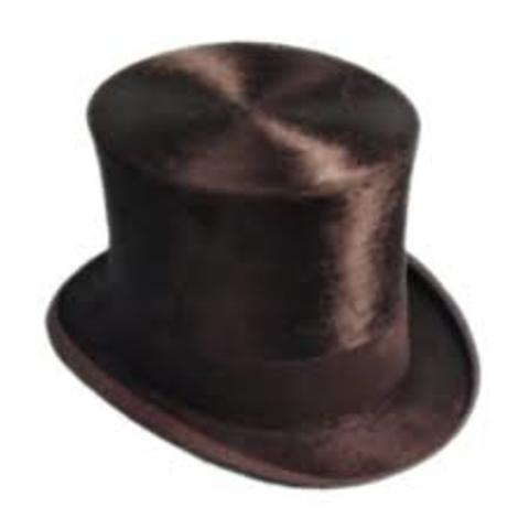 They Wanted hats made of beaver fur