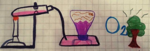 AISLACIÓN DEL OXIGENO