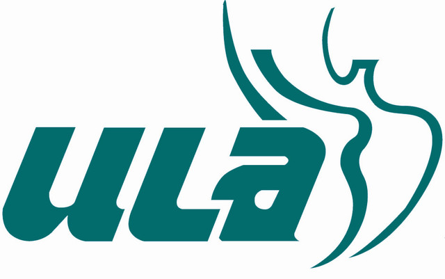 Innovación en las organizaciones