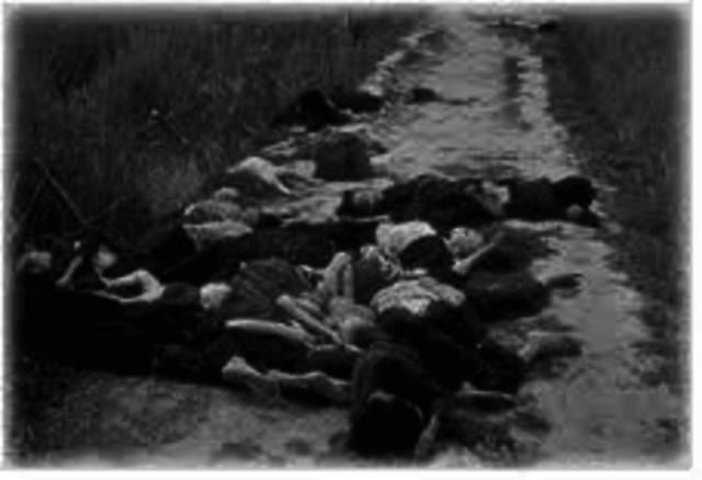 Military: My Lai Massacre
