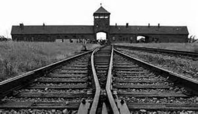 He arrives in Auschwitz