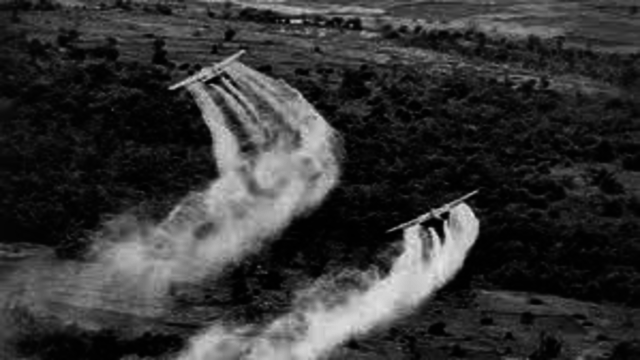 Agent Orange begins