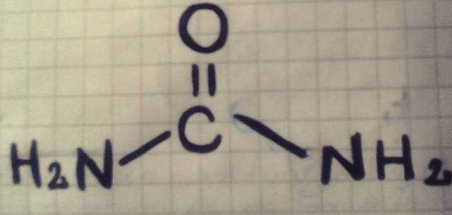 TEORIA DEL VITALISMO