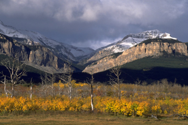 reaching the rocky mountians