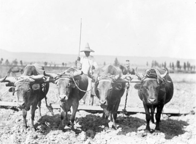Carranza expide su ley agraria